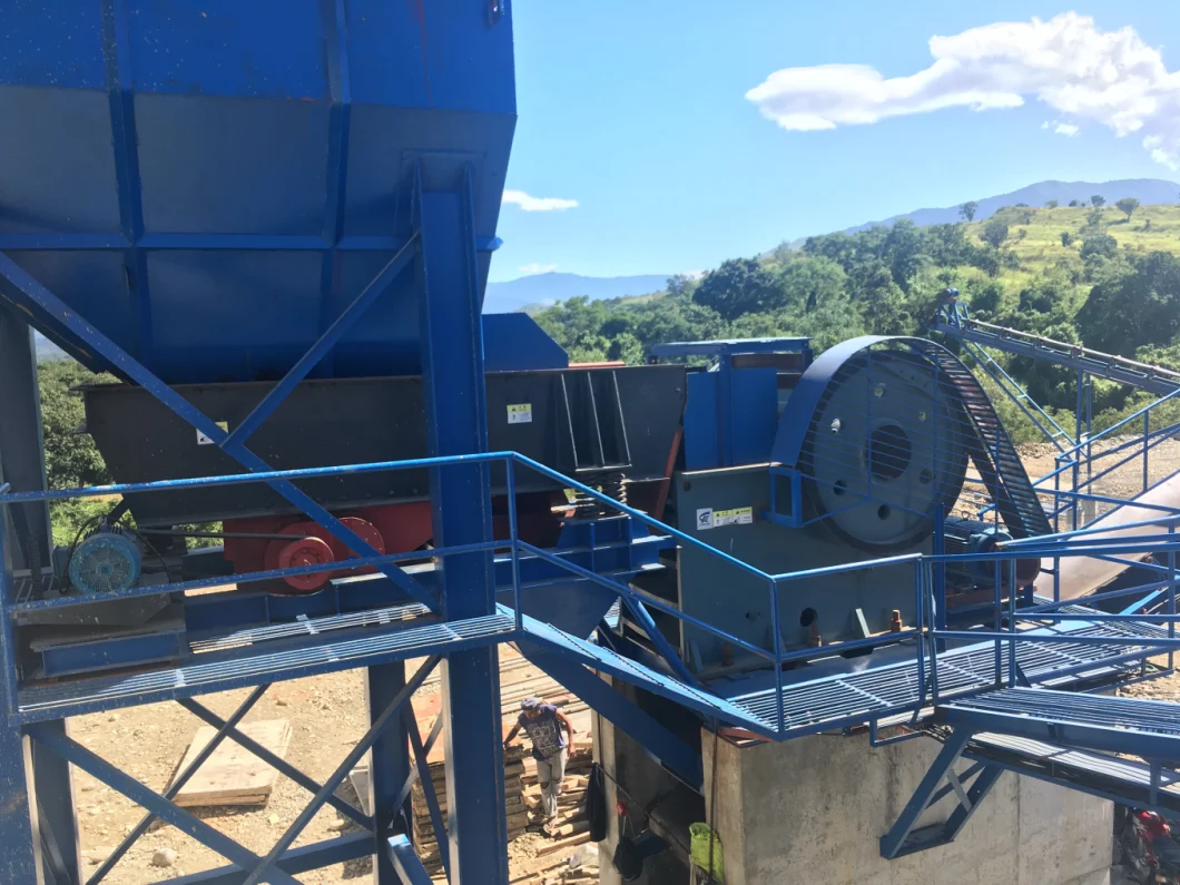 Alimentatore di vibrazione dell'orso grigio per la cava e l'impianto minerario (ZSW600X1300) nel Perù