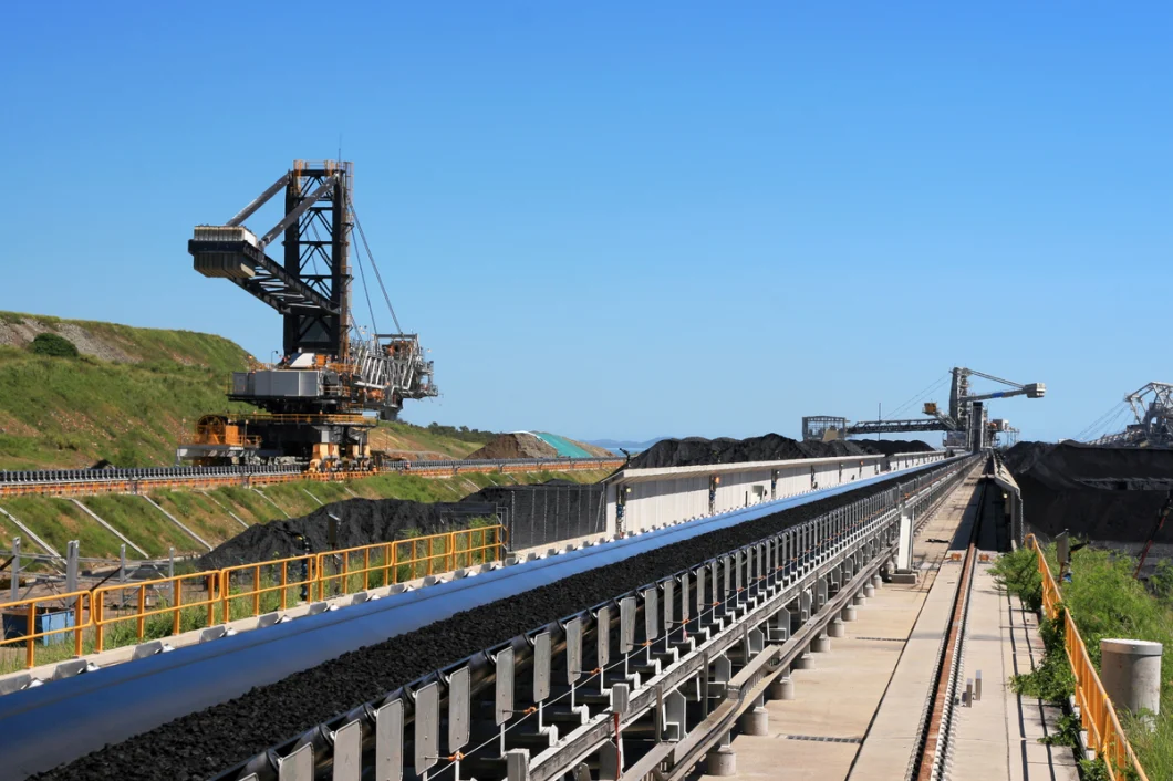 Nastro trasportatore lungo della portata per la norma del CEMA di raduno della centrale elettrica