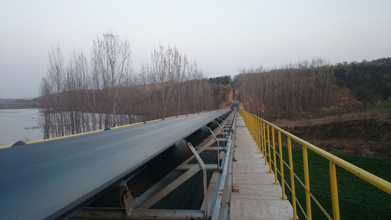 Nastro trasportatore automatico 415V, cava di 440V 400mm e trasportatore minerale del gitante del carbone di trasporto